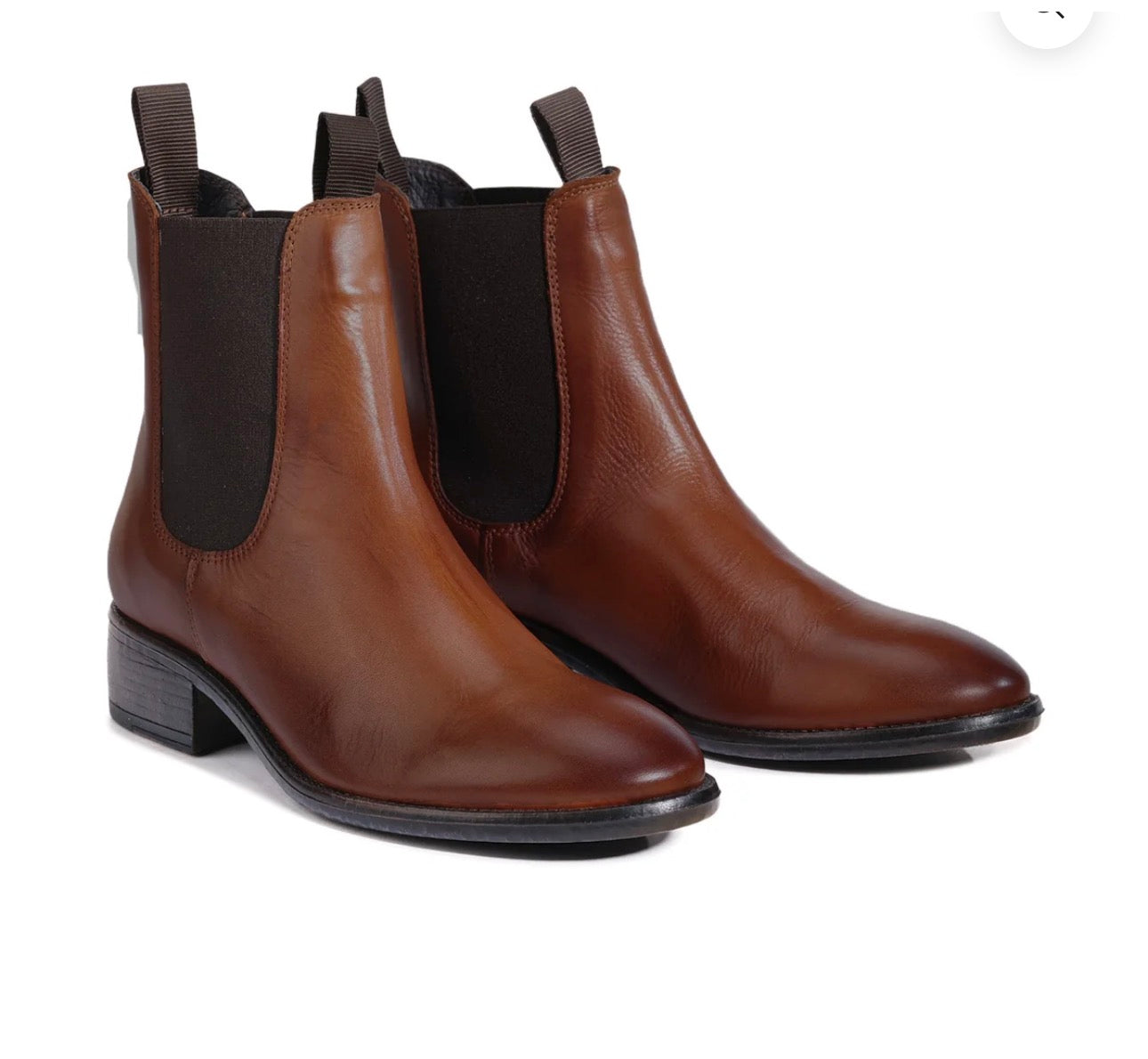 Celina Brandy