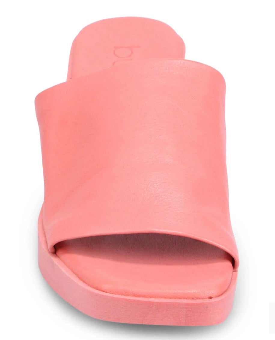 Finley Pink