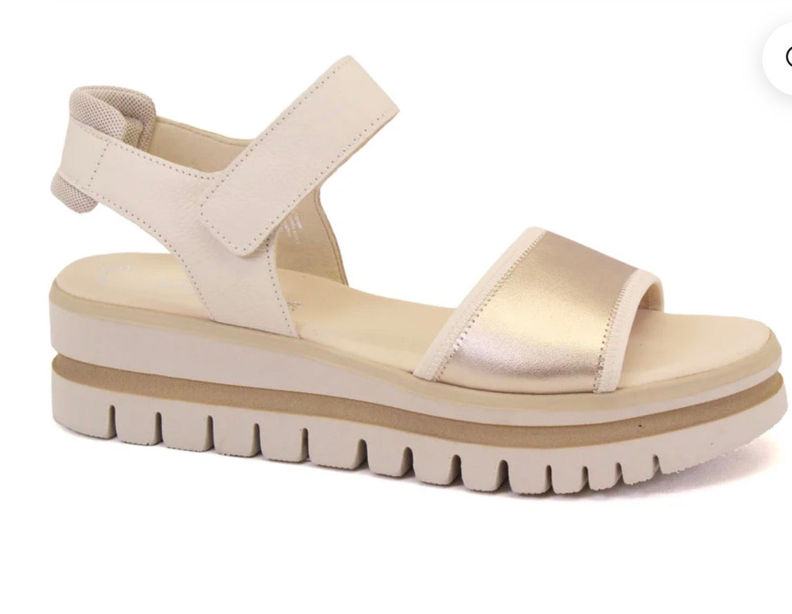64.629.62 2 Strap Sandal Gold/Puder