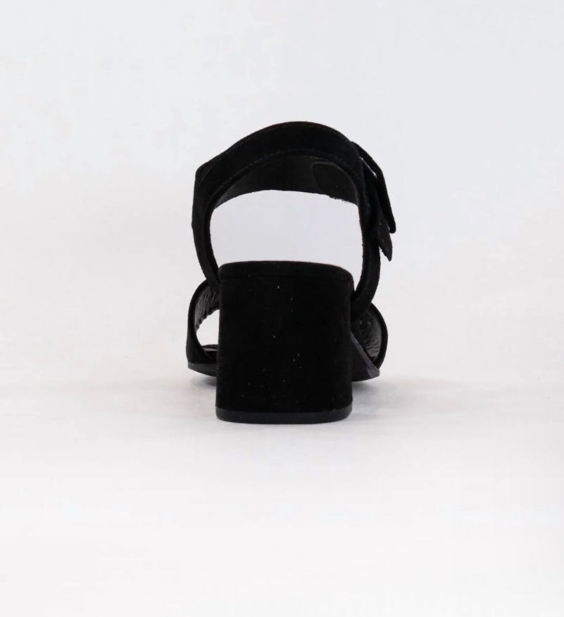 21.710.17 Samtchevreau Ankle One Strap Suede Black