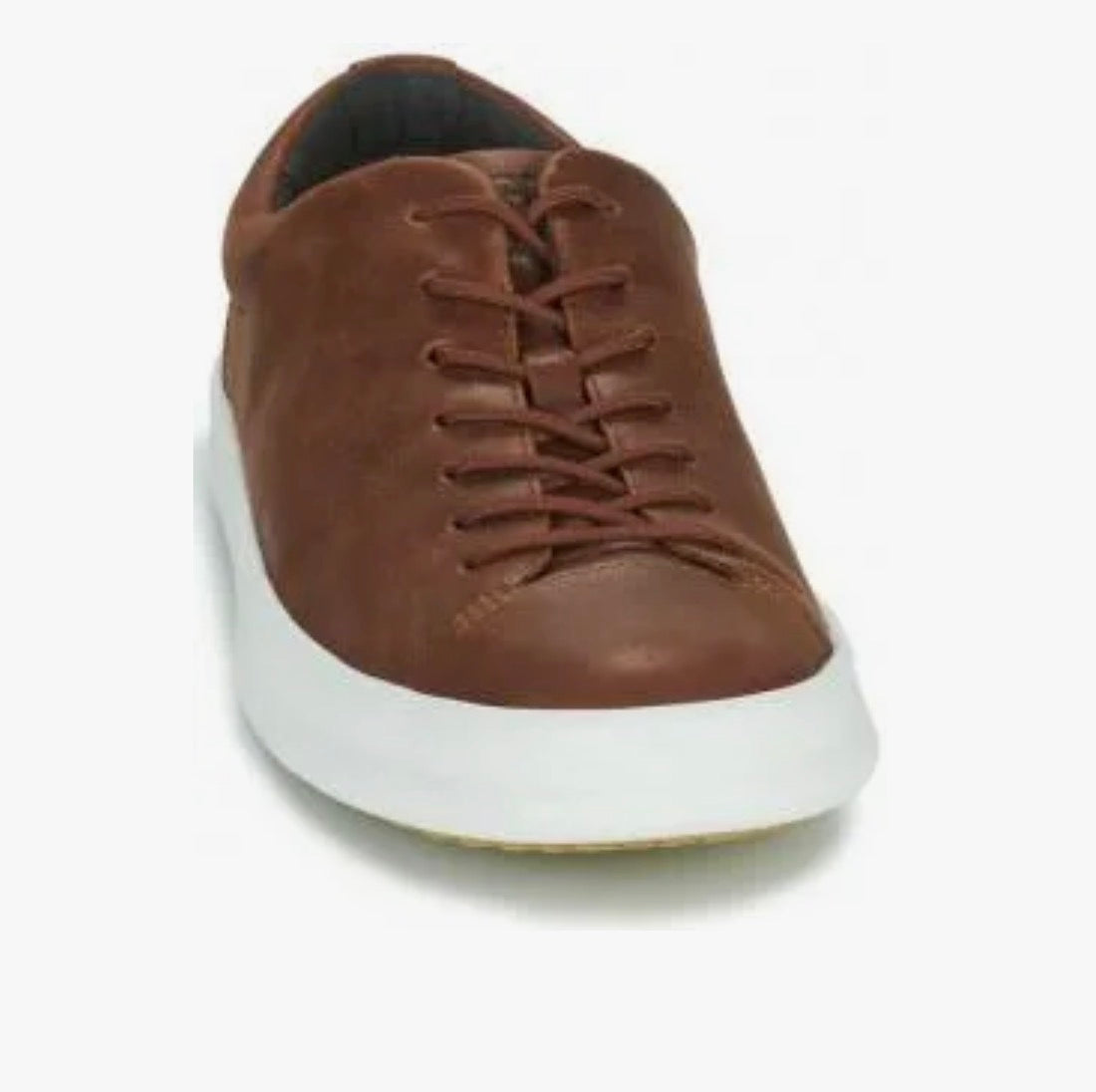 Chasis Sport Brown