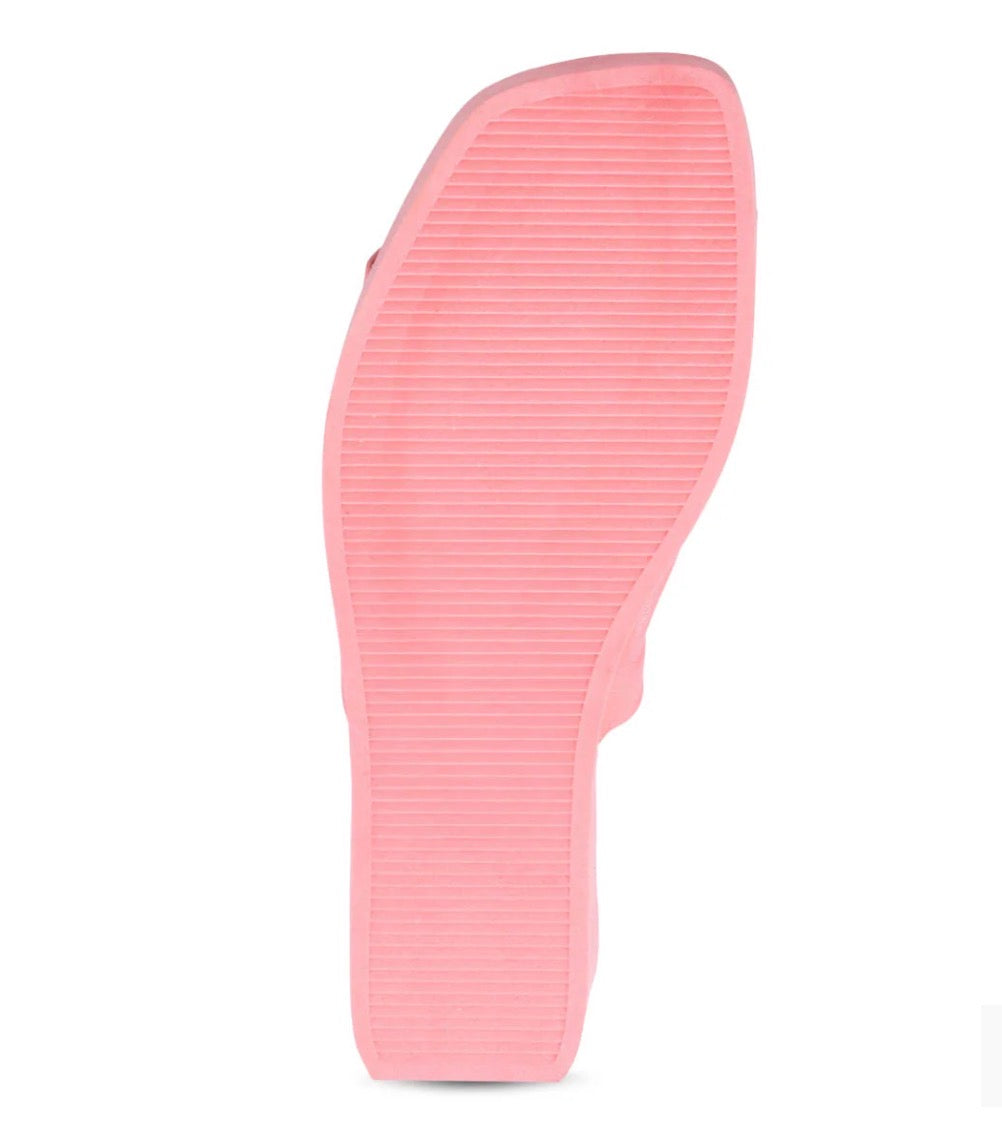 Finley Pink