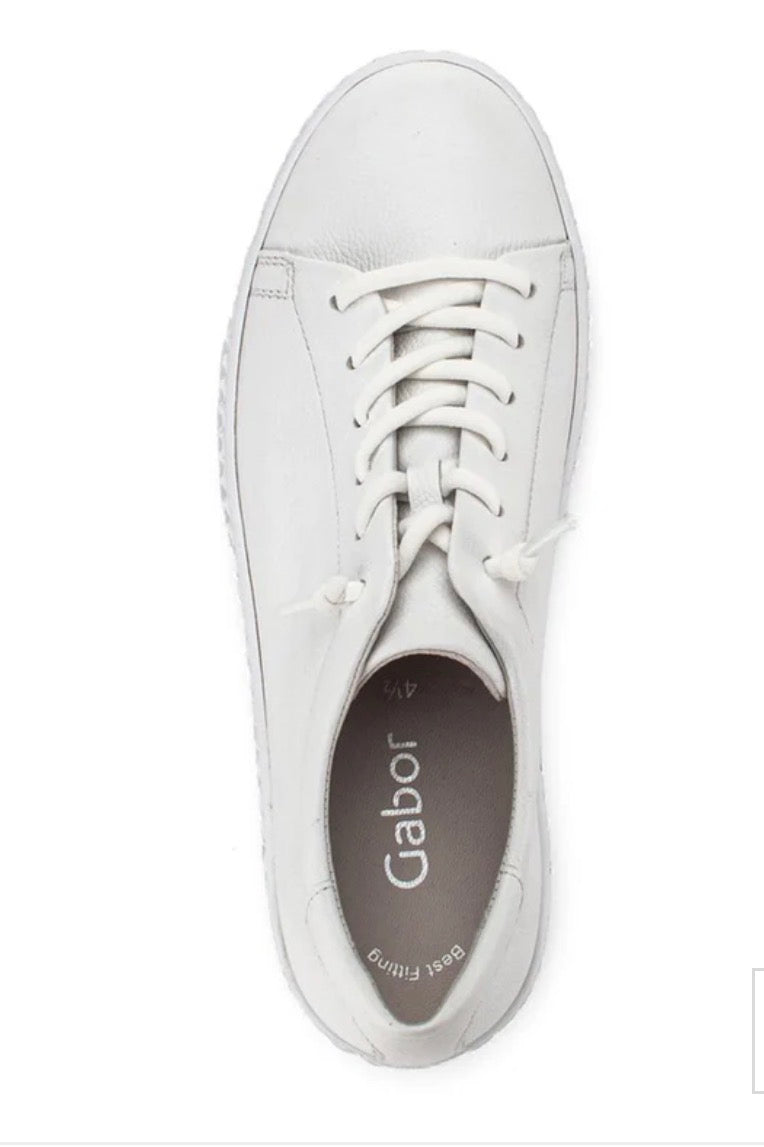 23.331.21 Cervo Weiss Ice