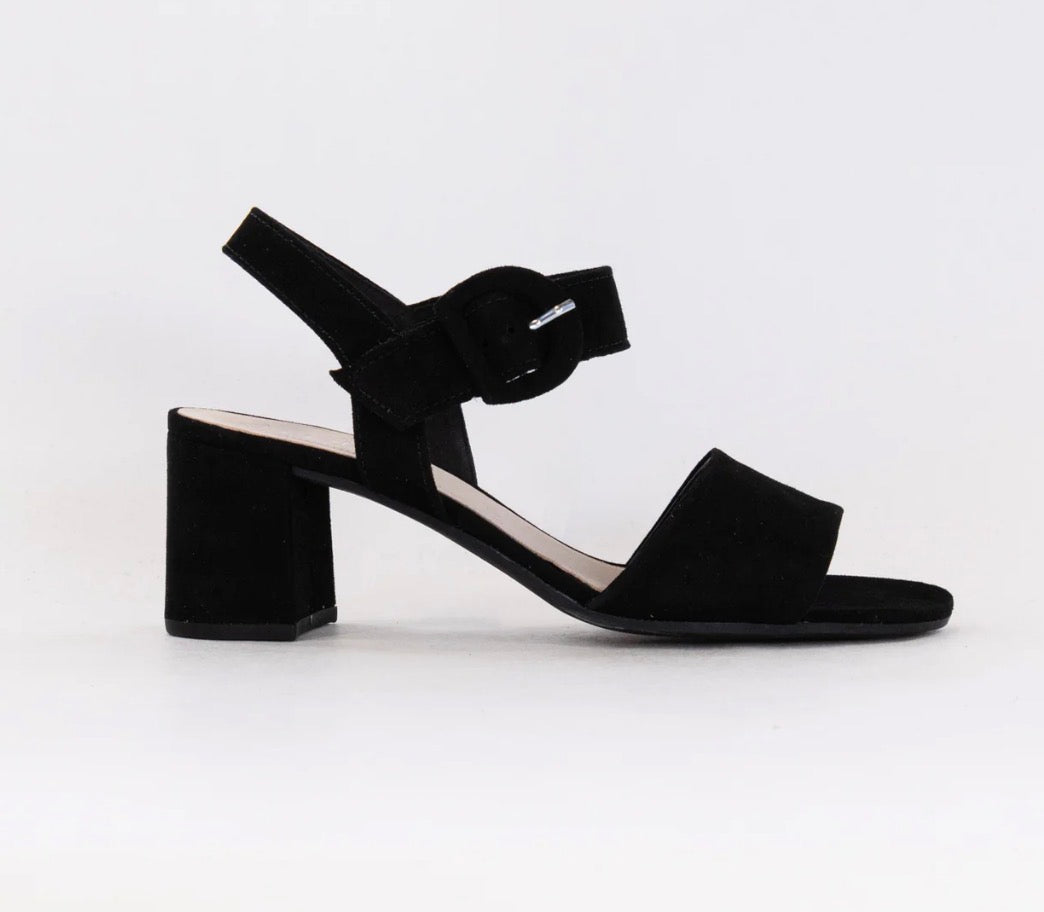 21.710.17 Samtchevreau Ankle One Strap Suede Black