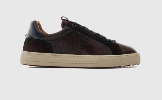 Anopolis Logo Sneaker Brown - Urban Shoetique